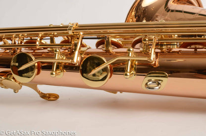 Yanagisawa TWO2 Solid Bronze Professional Tenor New + Setup
