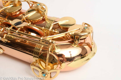 Yanagisawa TWO2 Solid Bronze Professional Tenor New + Setup