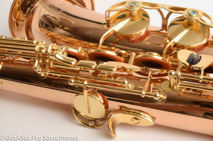 Yanagisawa TWO2 Solid Bronze Professional Tenor New + Setup