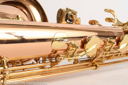 Yanagisawa TWO2 Solid Bronze Professional Tenor New + Setup