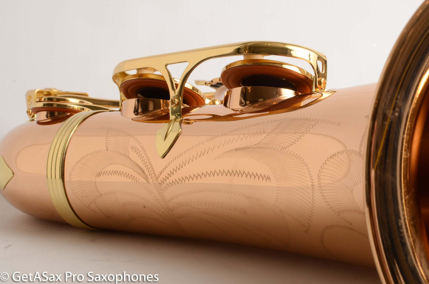 Yanagisawa TWO2 Solid Bronze Professional Tenor New + Setup