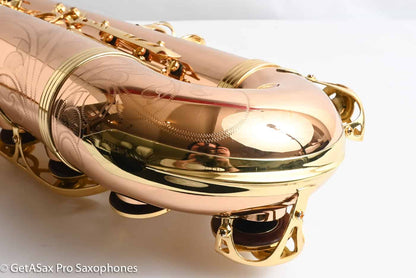 Yanagisawa TWO20 Elite Tenor Brand New! Solid Bronze Superb!