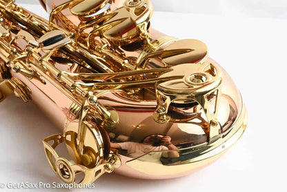 Yanagisawa TWO20 Elite Tenor Brand New! Solid Bronze Superb!