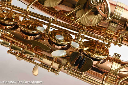 Yanagisawa TWO20 Elite Tenor Brand New! Solid Bronze Superb!