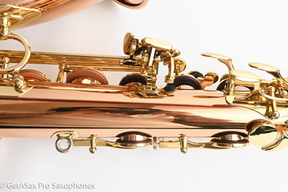 Yanagisawa TWO20 Elite Tenor Brand New! Solid Bronze Superb!
