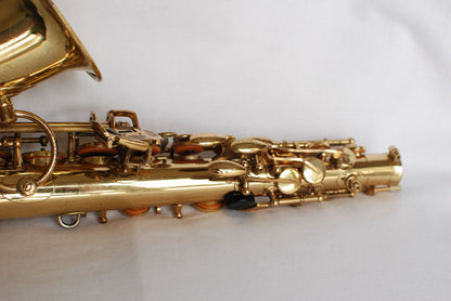 Yanagisawa A-880 Alto Saxophone