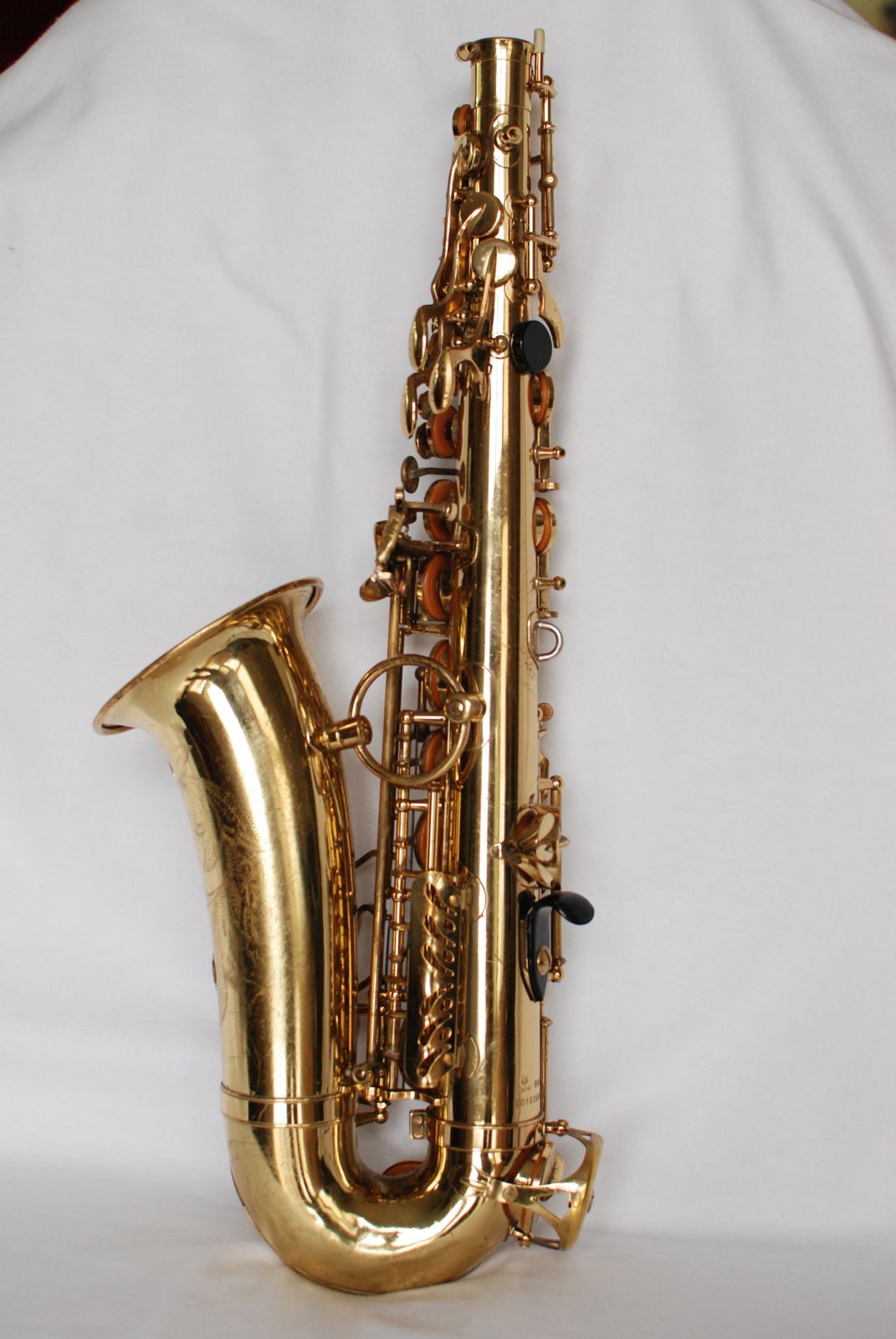 Yanagisawa A-880 Alto Saxophone