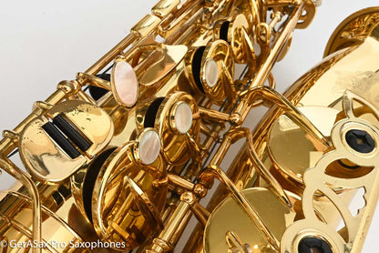Yanagisawa A880 Professional Alto Saxophone My Favorite! 141929
