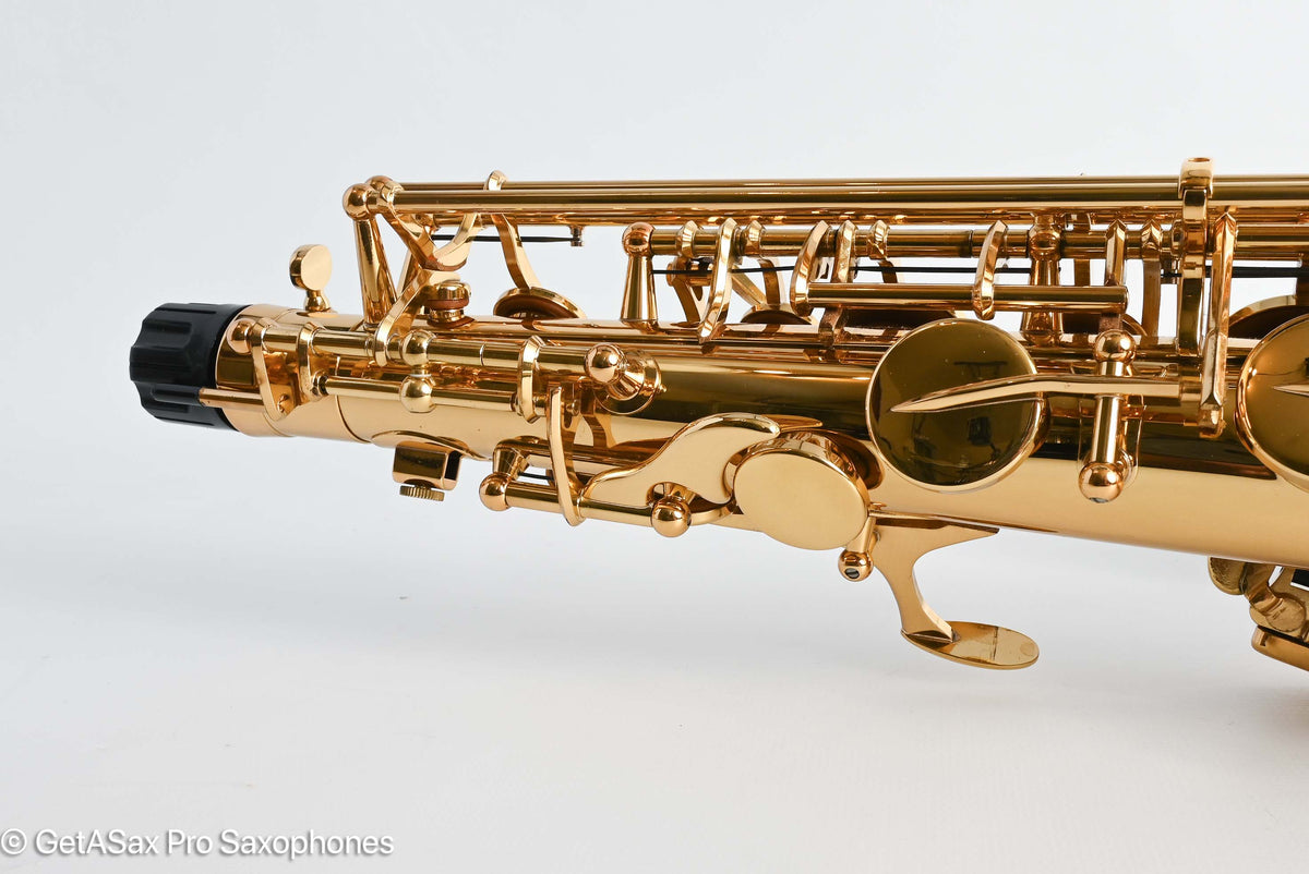 Yanagisawa AWO10 Elite Professional Alto Near Mint 348163