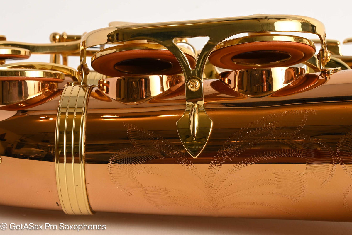 Yanagisawa AWO2 Alto Bronze Professional Mint 421679