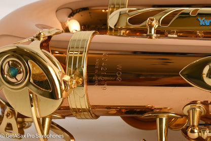 Yanagisawa AWO2 Alto Bronze Professional Mint 421679