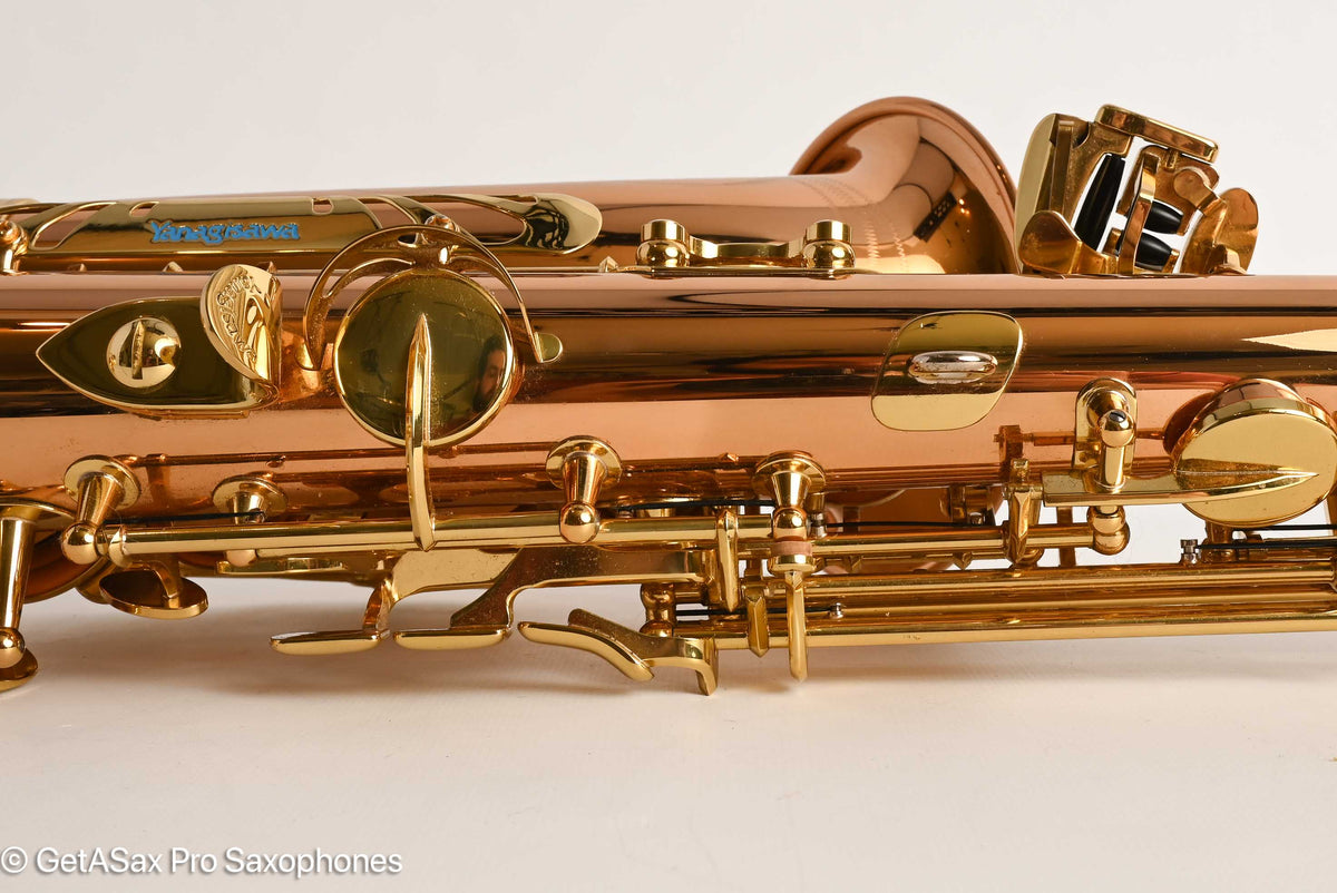 Yanagisawa AWO2 Alto Bronze Professional Mint 421679