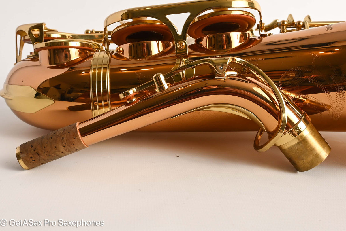Yanagisawa AWO2 Alto Bronze Professional Mint 421679