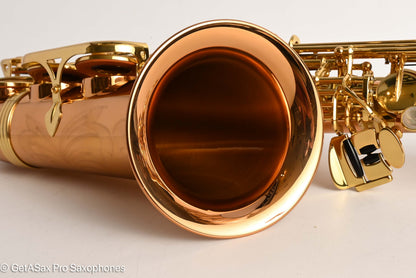 Yanagisawa AWO2 Alto Bronze Professional Mint 421679