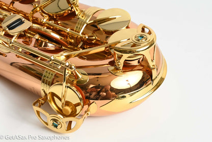 Yanagisawa TWO2 Professional Tenor Solid Bronze Mint w/GS 422668