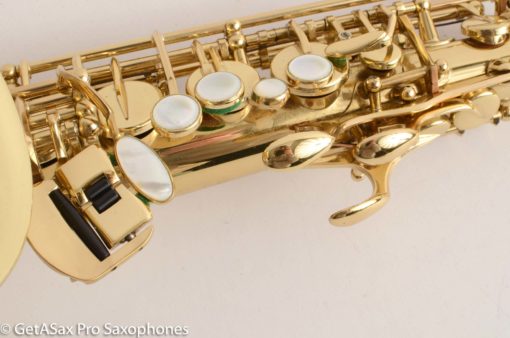 Selmer Series III Alto Saxophone 596204 Near Mint Condition Great Deal! - Image 25