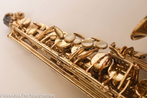 Selmer Super Action 80 Series II Alto Fresh Overhaul! 402197 - Image 12