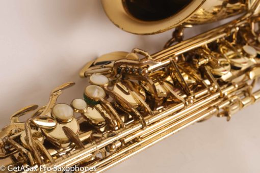 Selmer Super Action 80 Series II Alto Fresh Overhaul! 402197 - Image 3