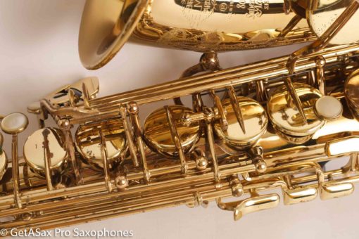 Selmer Super Action 80 Series II Alto Fresh Overhaul! 402197 - Image 5