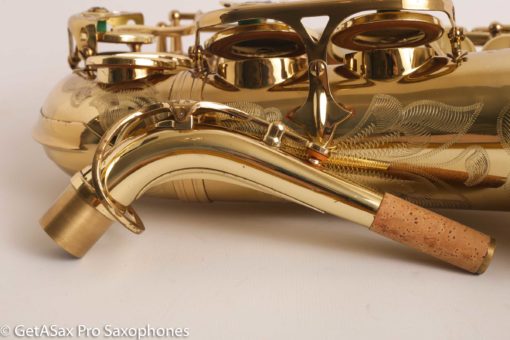 Selmer Super Action 80 Series II Alto Fresh Overhaul! 402197 - Image 27