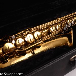 Selmer Omega 162 Alto Saxophone Plays Well Great Deal! 829421 