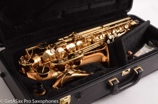 Yanagisawa A902 Solid Bronze Professional Alto Excellent Condition 313640