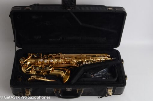 Yanagisawa AWO1 Professional Alto Excellent Condition!  337315 - Image 13