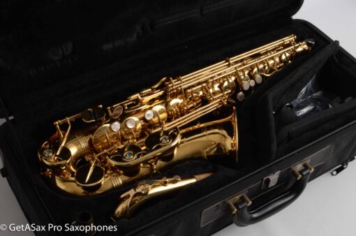 Yanagisawa AWO1 Professional Alto Excellent Condition!  337315