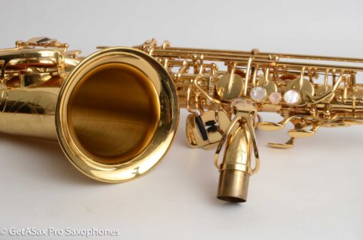 Yanagisawa AWO1 Professional Alto Excellent Condition!  337315 - Image 24